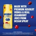 thumbnail image 3 of Absolut + Ocean Spray Cran-Pineapple Ready to Drink Vodka Cocktail, 4 Pack, 12oz Cans, 4.5% ABV, 3 of 8