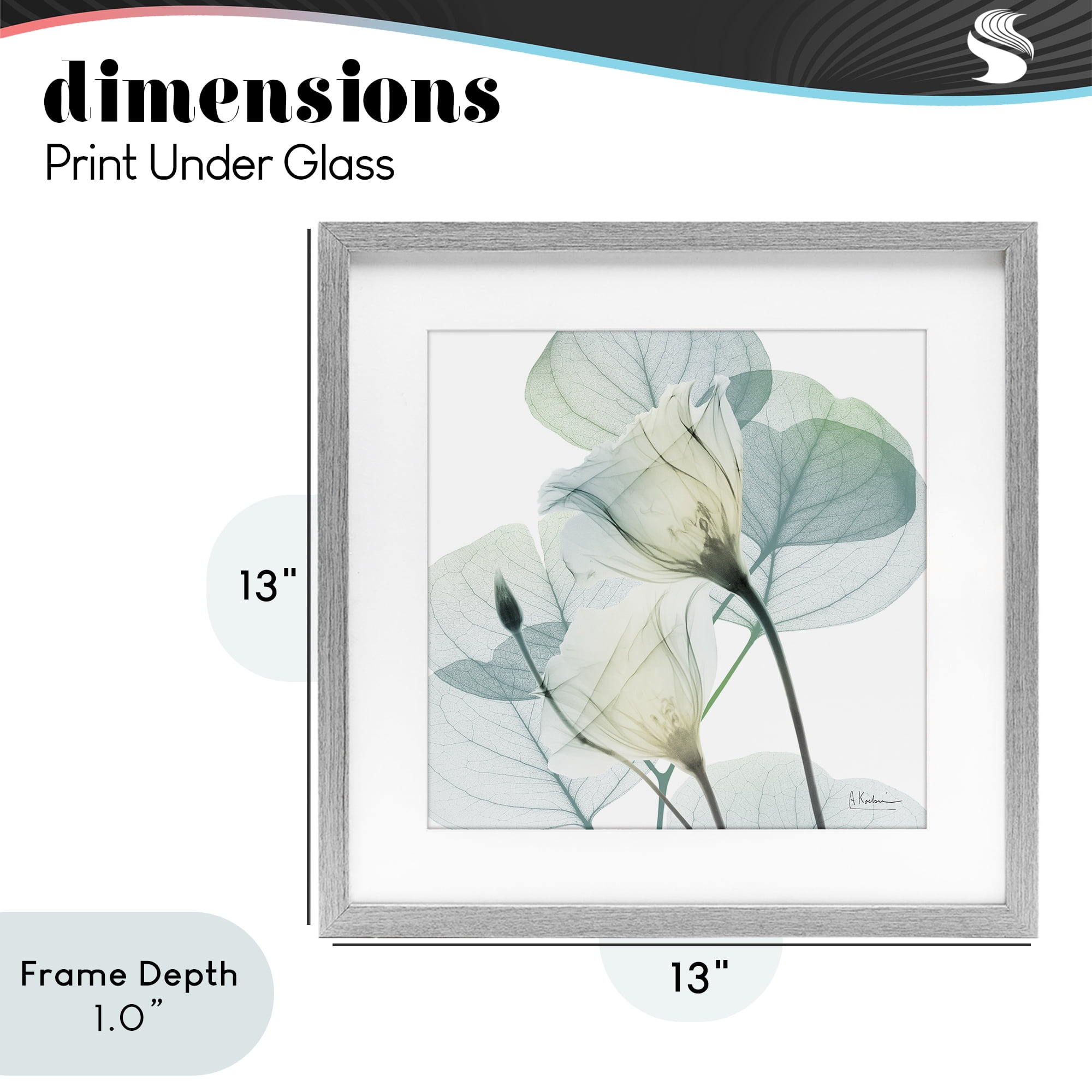 Stupell Industries Divine Fate Petals Gray Framed Print Under Glass, design by Albert Koetsier