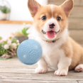 thumbnail image 1 of Squeaky Dog Chew Toys Juguetes interactivos resistentes y duraderos para perros de y grande Fútbol Colco Juguetes para masticar, 1 of 8