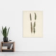 thumbnail image 4 of Vintage Botanical Croton Interruptum Leaf Fawcett Huge Wall Art Poster Print, 4 of 4