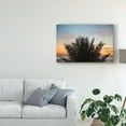 thumbnail image 3 of Trademark Fine Art 'Sunset Palm II' Canvas Art by Laura Marshall, 3 of 4