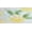 Leafy Lemon, variant on Karen Neuburger Womens Bermuda Knit Pajama Set Style-RLK0106