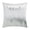 Ivory, variant on Cloud9 Design Mira Ivory Navy 22" x 22" Embroidered Velvet Decorative Pillow
