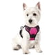 thumbnail image 1 of Arnés para perros Rabbitgoo, ajustable, sin tirones, rosa intenso, XS, 1 of 7