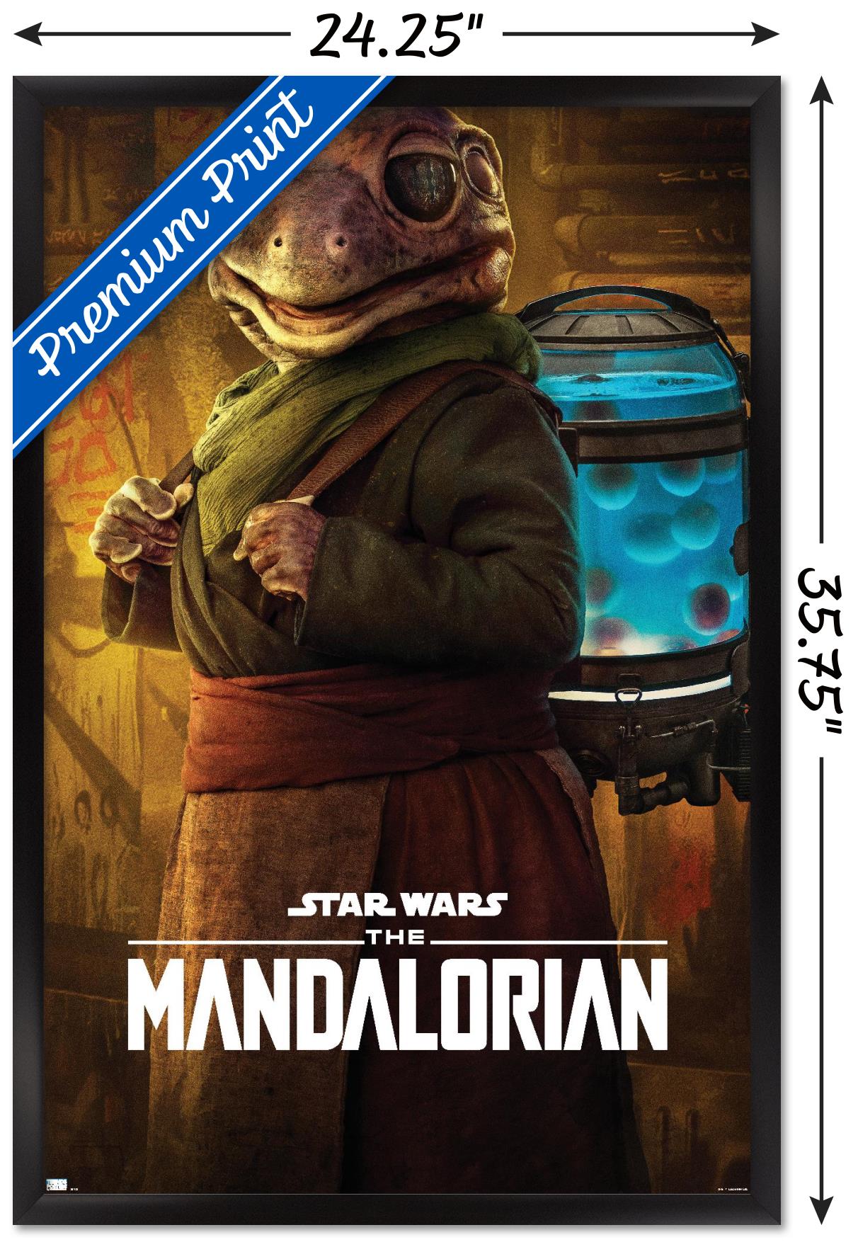 Star Wars: The Mandalorian Season 2 - Frog Lady Wall Poster, 22.375" x 34", Framed