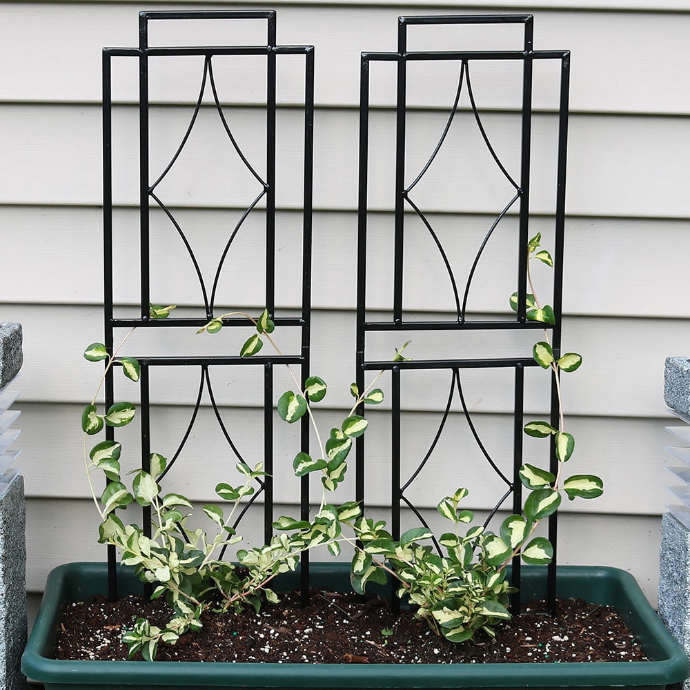 Sunnydaze 30-Inch Contemporary Garden Trellis, Metal Wire for Climbing Plants and Flowers, Set ...