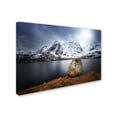 thumbnail image 3 of Trademark Fine Art "Spaceways Theme" Canvas Art by Philippe Sainte-Laudy, 3 of 4