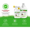 thumbnail image 2 of Stuart Pet Supply Artificial Turf Cleaner and Outdoor Pet Odor Eliminator Concentrate Is Ideal for Yards, Artificial Grass and Patios, Great Yard Odor Eliminator for Dogs Doggie Doo Dissolver Gallon, 2 of 5
