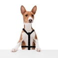 thumbnail image 3 of Árnes Para Mascotas Negro Estampado De Huellitas Talla Mediana Importadora La Merced Ergonómico Altamente Resistente, 3 of 4