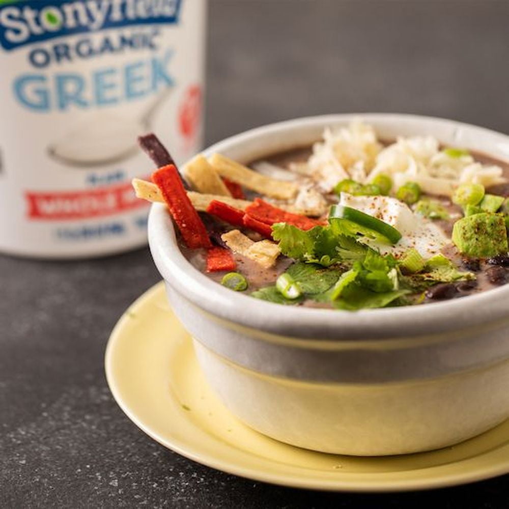 Stonyfield Farm Organic Smooth and Creamy Plain Greek Nonfat Yogurt, 32 Ounce -- 6 per Case.
