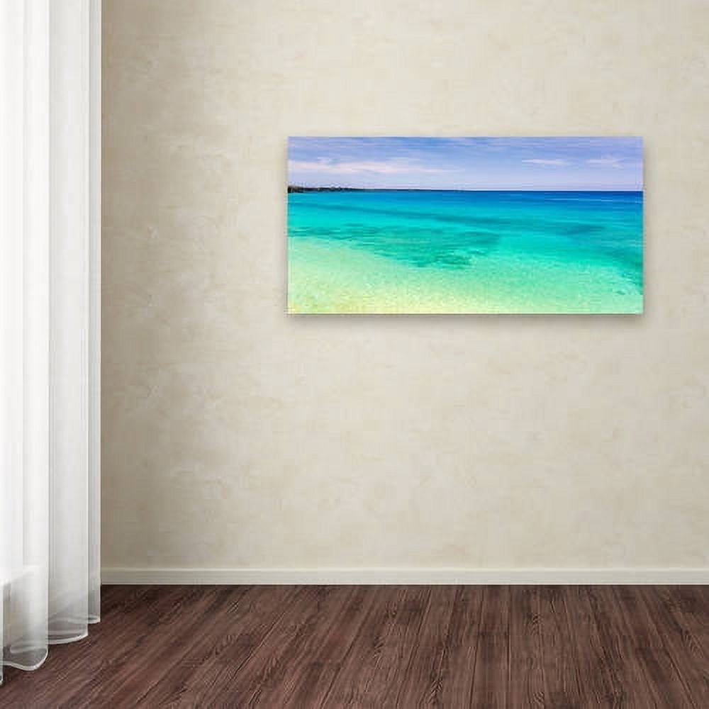 Trademark Fine Art 'Blue Hawaii' Canvas Art by Pierre Leclerc