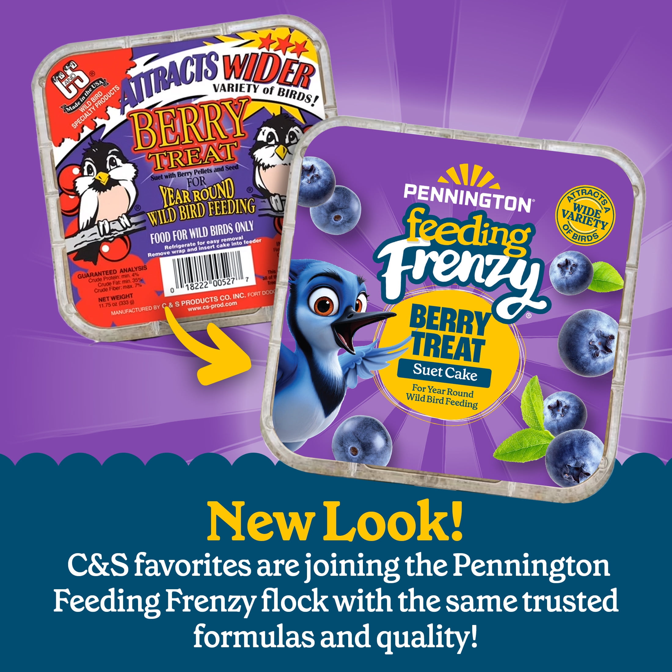 Pennington Feeding Frenzy Berry Treat Suet, 11.75 oz Cake, Wild Bird Food, 1 Pack, Fresh