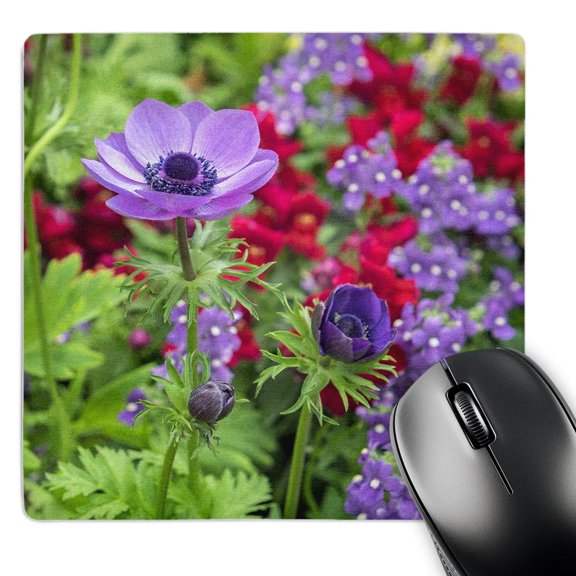3dRose, Poppy-Flowered Anemone, USA, MousePad