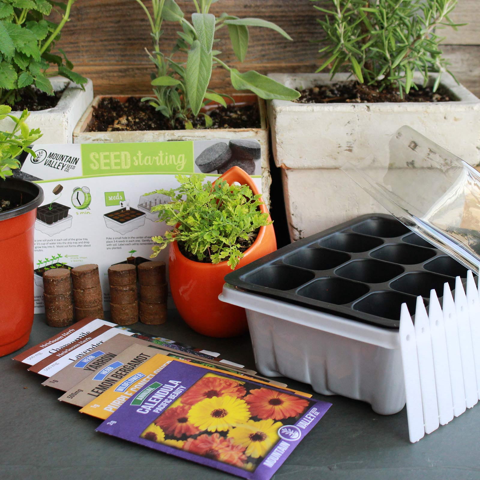 Indoor Medicinal & Herbal Tea Herb Garden Starter - Basic Kit - 6 Non-GMO Varieties - Seeds: Chamomile, Lavender, Lemon Mint, Calendula, Echinacea, Yarrow