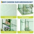 thumbnail image 5 of Kicctian 57x29x76 in Walk-in Greenhouse, Galvanized Steel Frame, with Door & 2 Windows, 4 Shelves, Garden Hot House for Yard, Indoor, Backyard, Green, 5 of 8