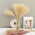 thumbnail image 4 of 60Pcs Large Dried Pampas Grass for Vase Wedding Gift Reed Flowers Party Home Zulema hierba de pampa seca, 4 of 8