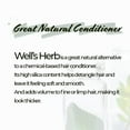 thumbnail image 4 of Well's Herb / 24 Kinds/Perfect for Herbal Hair Infused Oil/Edible Herbs (Ginkgo), 4 of 5