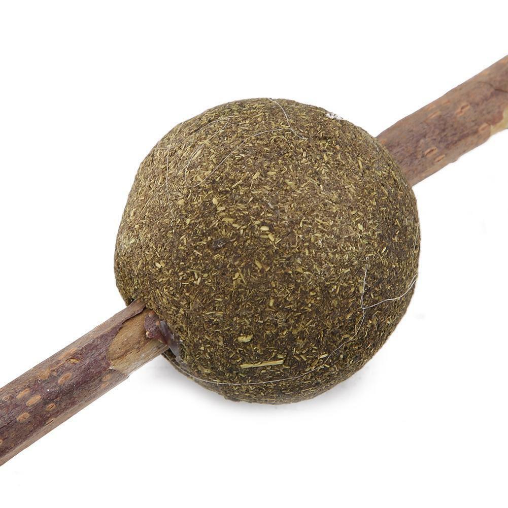 Pet Snack Cat Chew Stick Treat Toy Catnip Molar Food Cat Mint