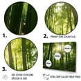 thumbnail image 3 of Designart "Dynamic Lighting In The Bamboo Grove II" Bamboo Floater Framed Canvas Prints, 3 of 5