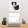 thumbnail image 7 of Trends International 2024 Puppies Wall Calendar, 7 of 7