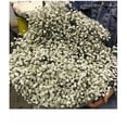 thumbnail image 2 of Paniculata Flor Natural Ramo de 25 tallos Blanco 80cm de alto, 2 of 4