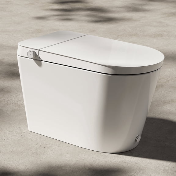 HOROW Non-Electric ADA Bidet Toilet White Ceramics Elongated with Dual Nozzles Foot Flush
