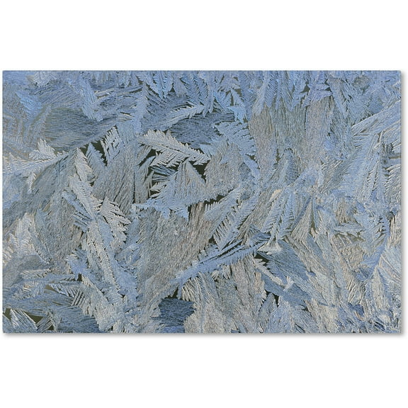 Trademark Fine Art "Frost Pattern #6" Canvas Art by Kurt Shaffer