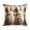 A, variant on CoreLiving Easter Bunny Plush Pillow Covers Spring Farmhouse Decor 18x18 Inch Soft Throw Pillow Cases for Home Sofa Couch Living Room Cute Floral Rabbit Decorative 18" x 18" Square