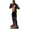 UFC Anderson Silva Cardboard Stand-Up