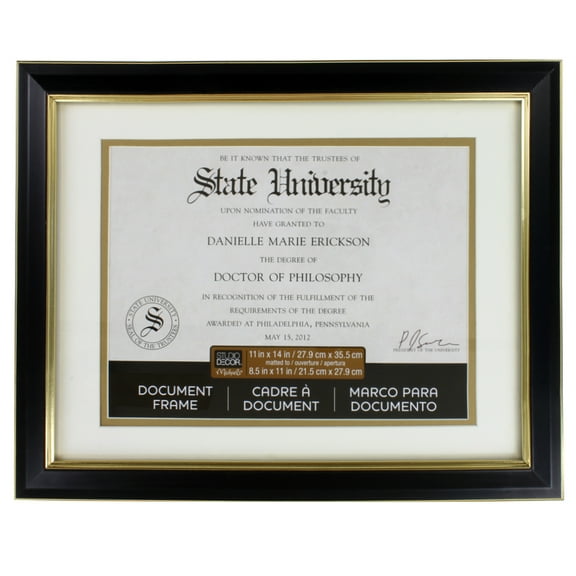 8.5" x 11" Black & Gold Document Frame with Double Mat by Studio Decor