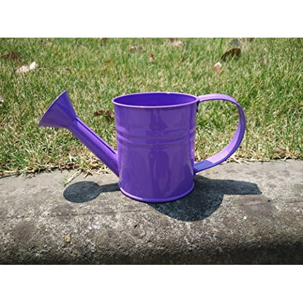 Mini Purple Metal Watering Can 1.2 Liter Manual Colorful Watering Can