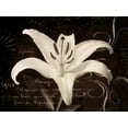 thumbnail image 2 of Amy Melious 44x34 Gallery Wrapped Canvas Wall Art Titled - Garden Journal III, 2 of 4