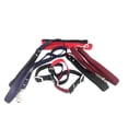 thumbnail image 3 of Duo Pack Collar y Correa Vibrant Talla Chica, 3 of 5