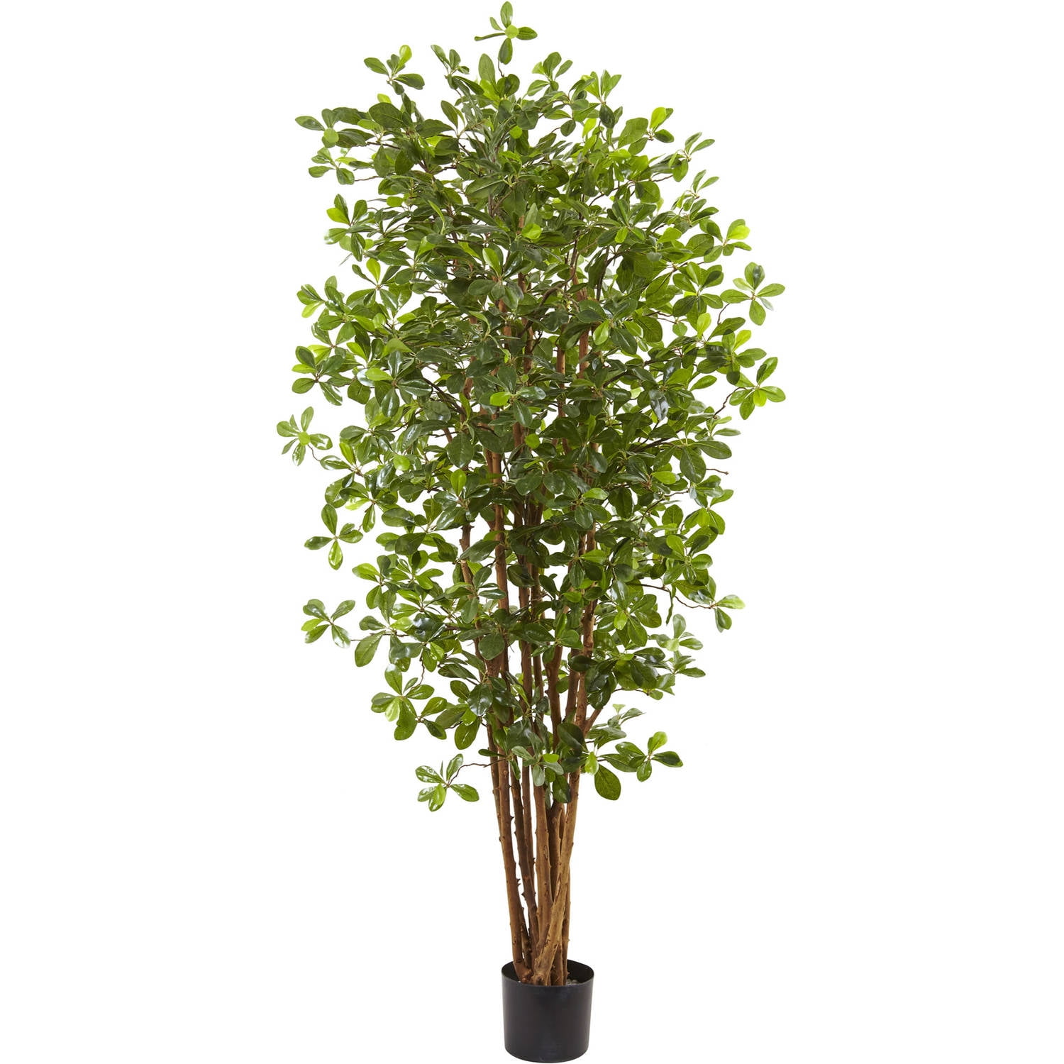 Nearly Natural 6ft. Black Olive Artificial Silk Tree, Green Walmart