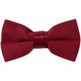 thumbnail image 5 of Spring Notion Boys' Pre-tied Banded Satin Bow Tie X-Large Red, 5 of 5