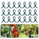 thumbnail image 3 of Plant Support Clips, Plant Support Clips Plant Clips for Climbing Plants,Garden Clips Vine Fixing Clip Plant Vine Clip L, 3 of 5