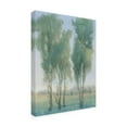 thumbnail image 2 of Tim OToole 'Tree Grove II' Canvas Art, 2 of 3