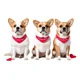 thumbnail image 1 of Paliacates Para Perros Desechables Para Estética Canina, 1 of 5