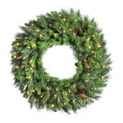 Vickerman 42" Cheyenne Wreath Dura-Lit 100CL