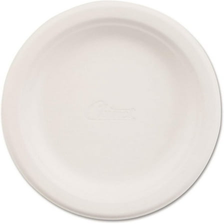 ZJHP 21225PK Paper Dinnerware Plate 6-Inch dia White 125/Pack