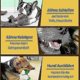 thumbnail image 4 of Brosse Dents Pour Chien Jouets De Soins Dentaires Pour Chiens Mcher-- BmatwkZeng Bmatwe Jersey, 4 of 4