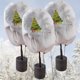 thumbnail image 4 of Protección Contra Heladas Para Plantas De Invierno, Cubierta Reutilizable Anticongelante, Chaqueta Con Cordón Para Plantas De Jardín Y Vegetales sonducket HA039160-00, 4 of 6