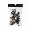 thumbnail image 1 of CMAS Pomme de Pin 5 Pcs (Lot de 36), 1 of 1