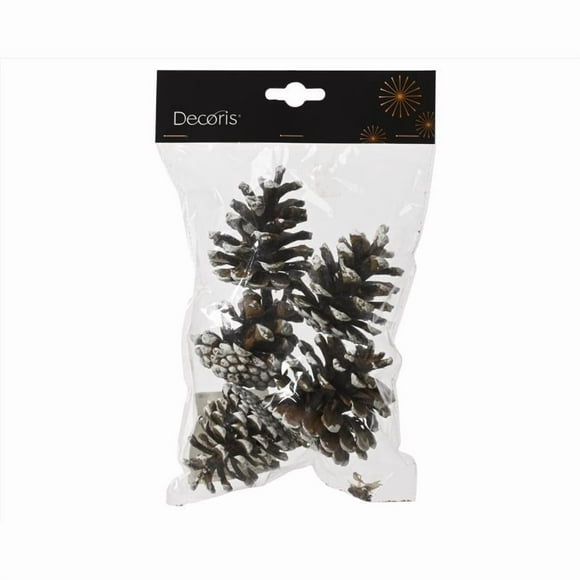 CMAS PINECONE 5PC(Pack of 36)