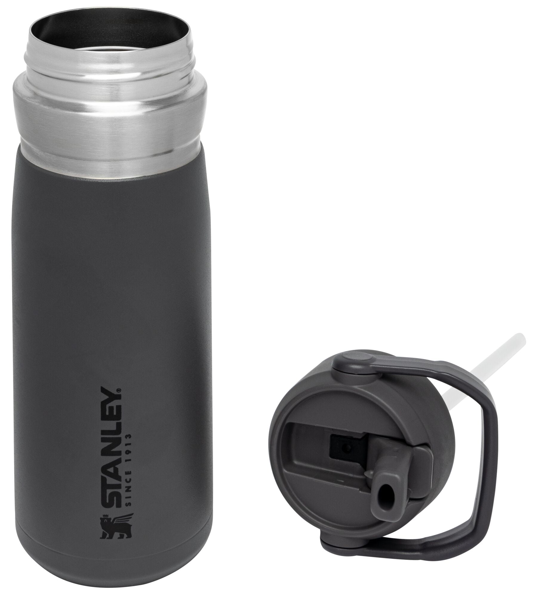 STANLEY 22 oz Gray and Silver Insulated Stainless Steel Water Bottle with  Straw and Flip-Top Lid 