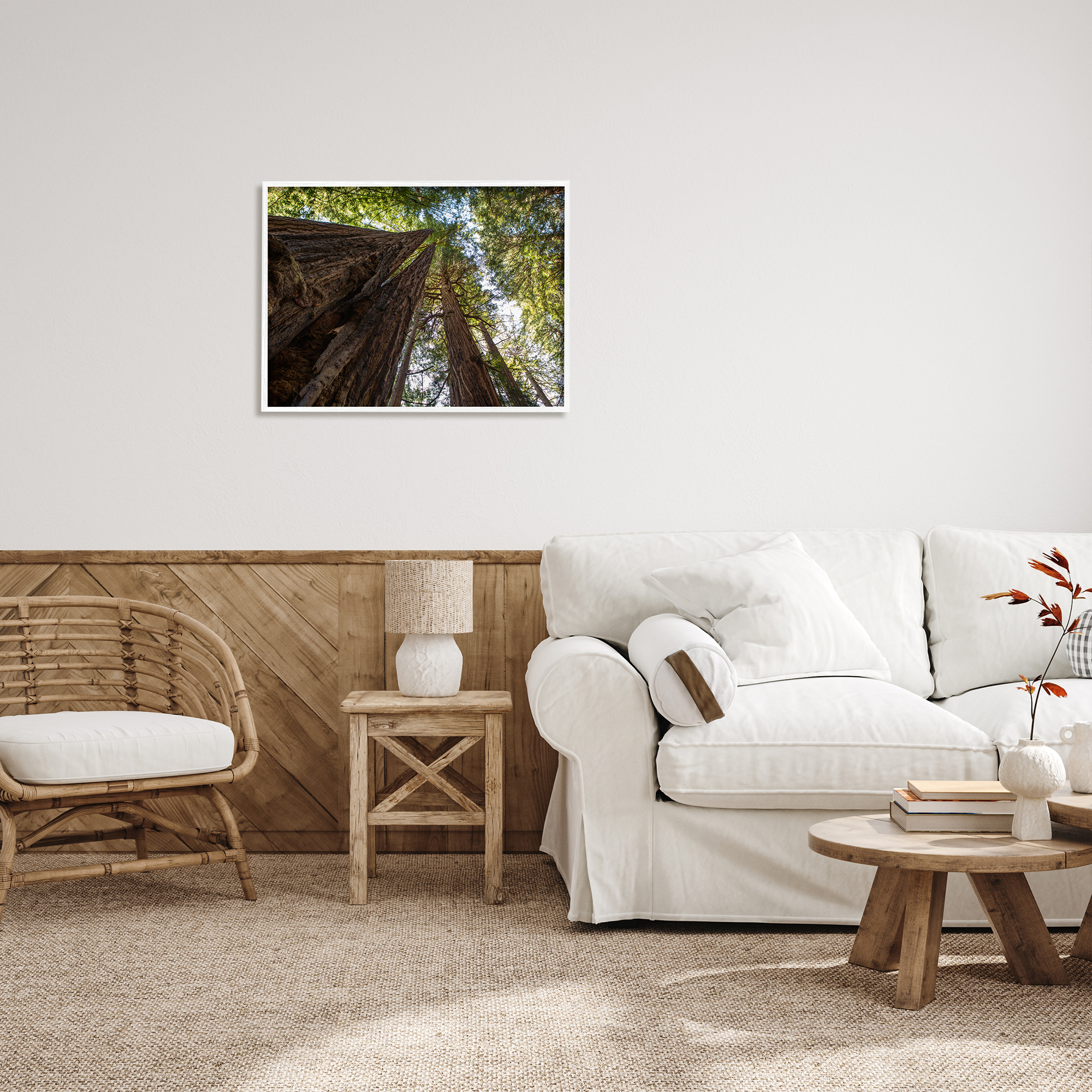 Stupell Indtries Tall Trees Looking Upwards Nature Forest Photography,30 x 24,Design by Aaron Matheson