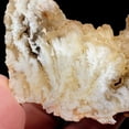 thumbnail image 3 of Spécimen d'Agate à Plume d'Eau Puante Polie!, 3 of 8