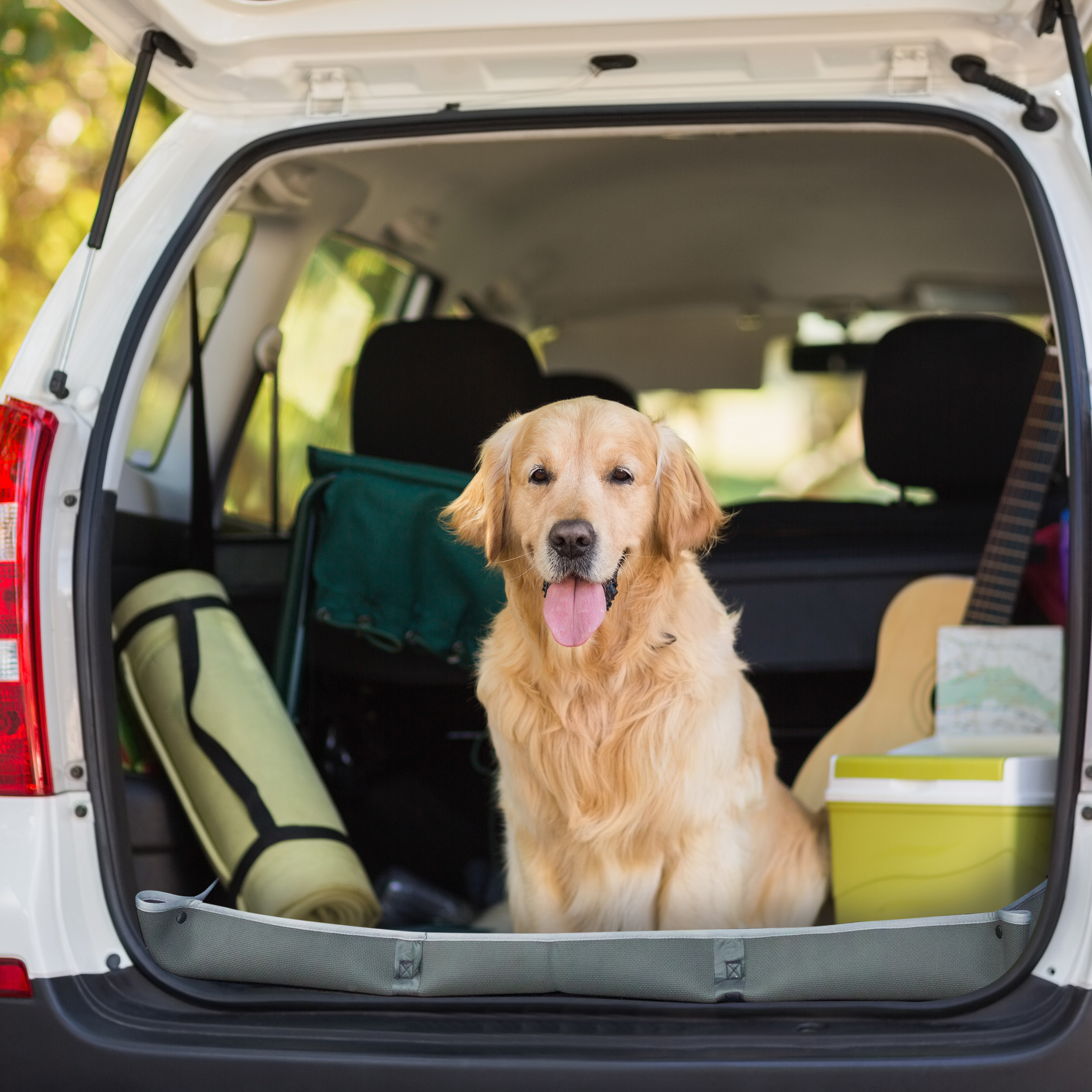 AUTO DRIVE PL Tapis de Coffre AUTO DRIVE PL TAPIS COFFRE