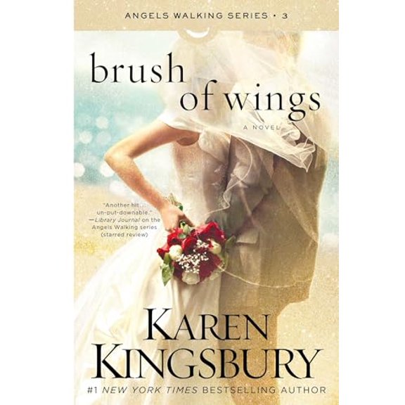 Pre-Owned Brush of Wings (Paperback) 1451687559 9781451687552