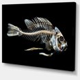 thumbnail image 2 of Fish Skeleton Bone on Black - Animal Canvas Art Print, 2 of 3